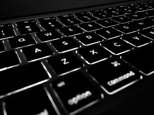 计算机, 显示, 电子产品, 照明, 键盘, 键, 笔记本电脑, 字母, 技术